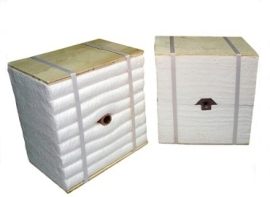 Ceramic Fiber Module